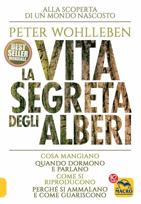 la-vita-segreta-degli-alberi-5737.jpg