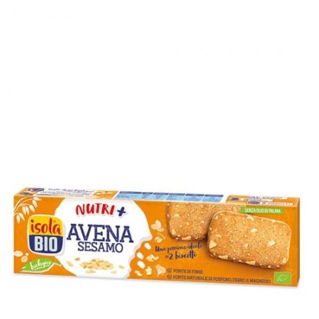 BV41261.jpg
